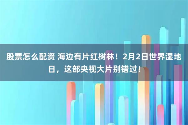 股票怎么配资 海边有片红树林！2月2日世界湿地日，这部央视大片别错过！